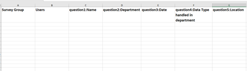 Image of selected survey on excel sheet